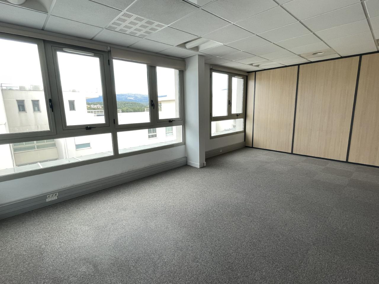 Bureau Biot 1009m² Location bureau Biot Alpes-Maritimes OLBUR2115903 7